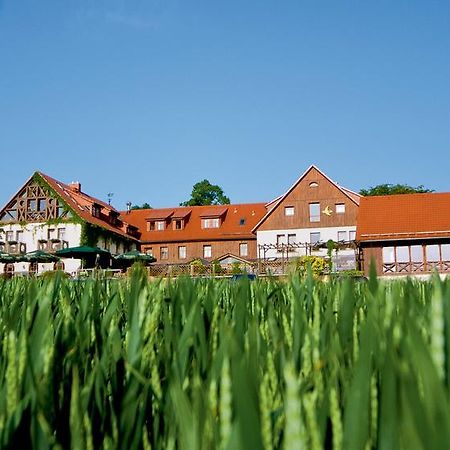 Hotel Neue Hoehe Klingenberg Екстер'єр фото