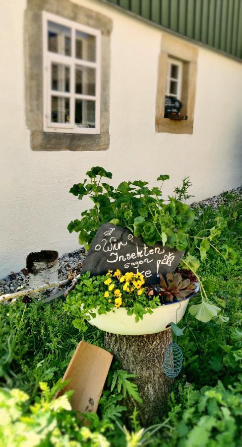 Hotel Neue Hoehe Klingenberg Екстер'єр фото