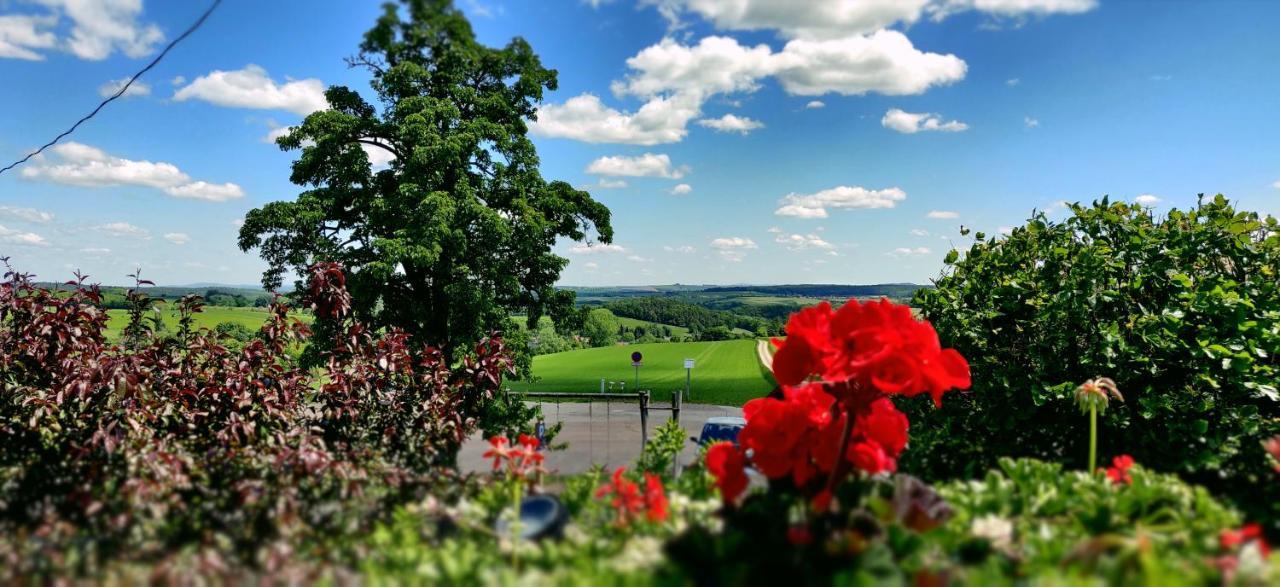 Hotel Neue Hoehe Klingenberg Екстер'єр фото